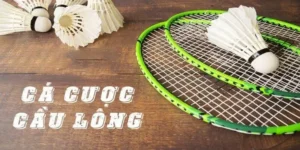 Cách Chơi Cá Cược Cầu Lông Tại MMLIVE: Bí Kíp Tăng Tỷ Lệ Thắng