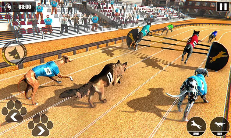 Cách Chơi Game Nhanh Đua Chó Tại MMLIVE Dễ Thắng Nhất