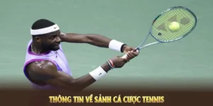 Tìm Hiểu Cá Cược Quần Vợt MMLIVE Đầy Kịch Tính Cho Người Đam Mê